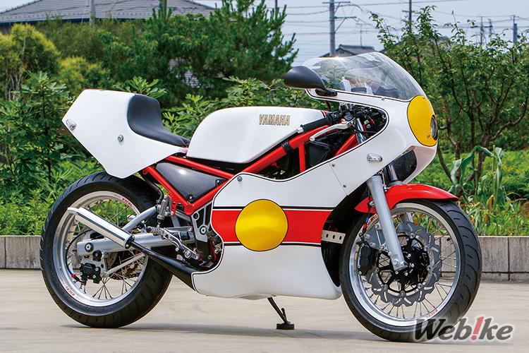 Style TZ avec cadre Truss : Yamaha R1-Z Custom