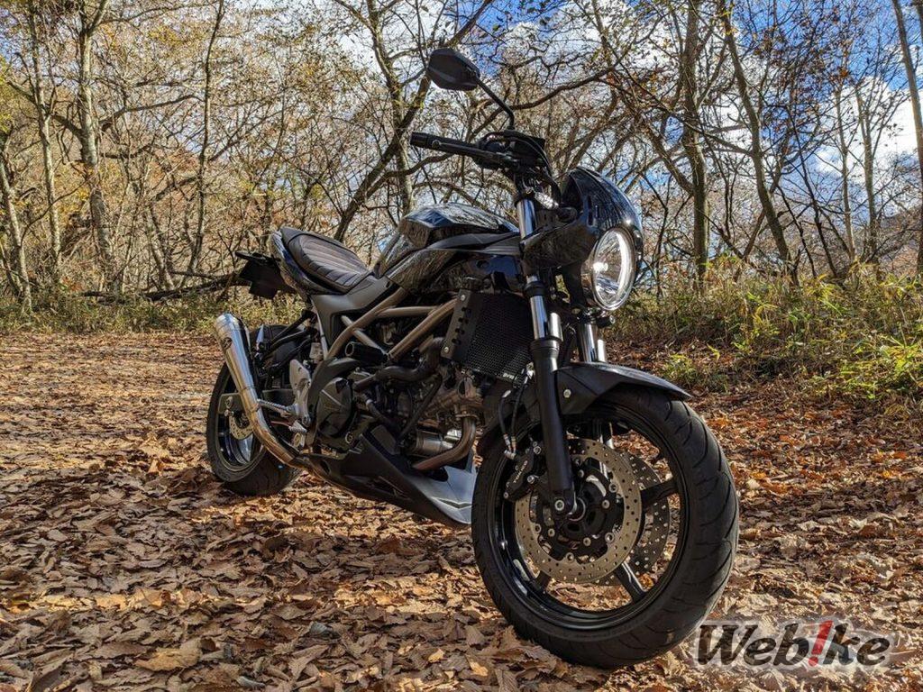 L’équilibre idéal : SUZUKI SV650 Custom